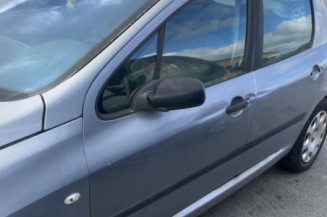 Afficheur PEUGEOT 307