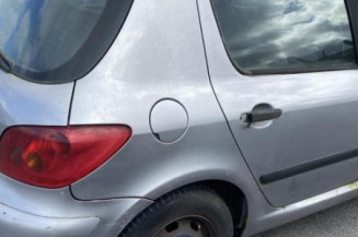 Afficheur PEUGEOT 307