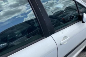Jante PEUGEOT 307