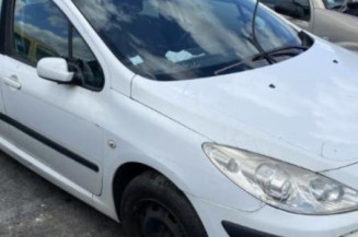 Jante PEUGEOT 307