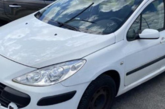 Jante PEUGEOT 307