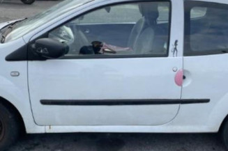 Cardan droit (transmission) RENAULT TWINGO 2