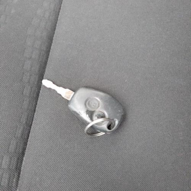 Amortisseur avant droit DACIA SANDERO 1 Photo n°9