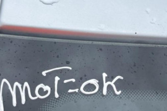 Amortisseur avant droit DACIA SANDERO 1