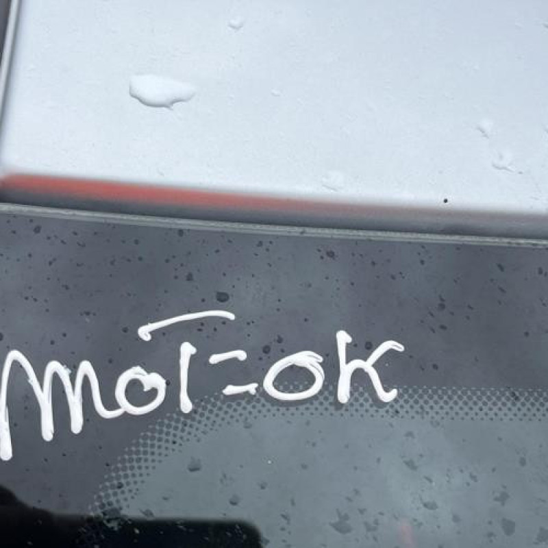 Amortisseur avant droit DACIA SANDERO 1 Photo n°15