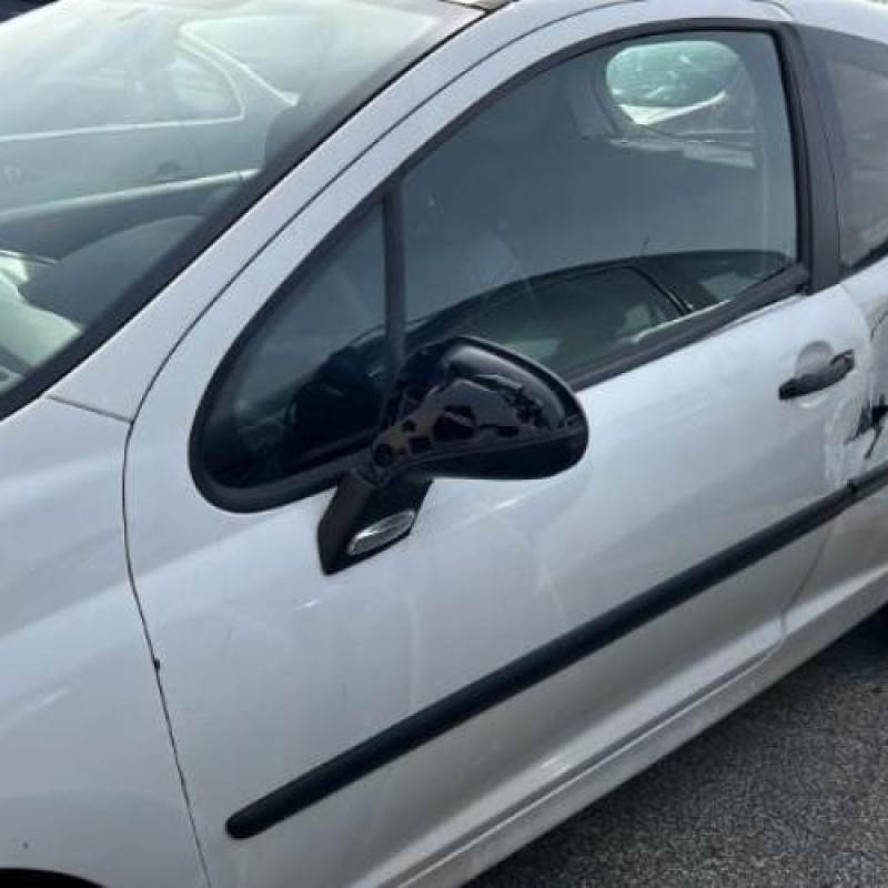 Charniere de capot PEUGEOT 207 Photo n°11
