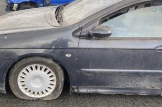 Jante CITROEN C5 1
