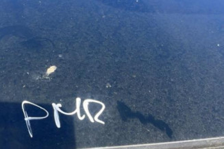 Serrure avant droit PEUGEOT 308 2