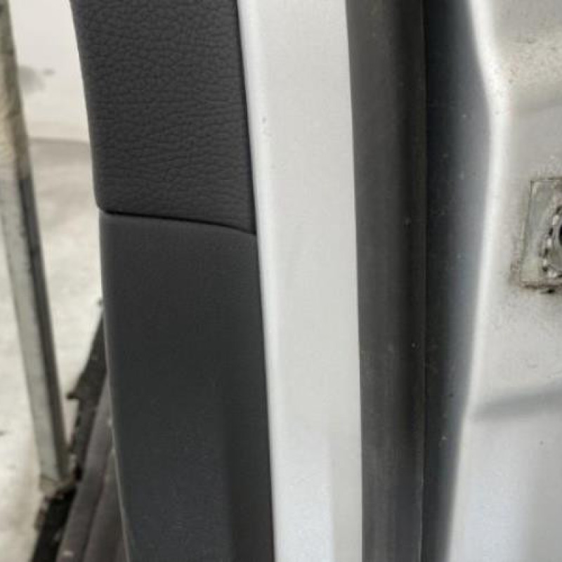 Porte arriere gauche VOLKSWAGEN PASSAT 5 Photo n°5