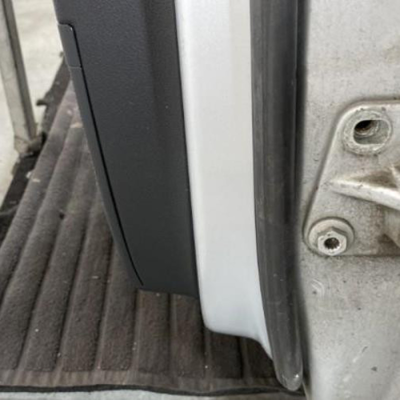 Porte arriere gauche VOLKSWAGEN PASSAT 5 Photo n°6