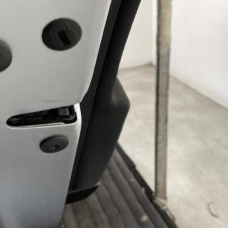 Porte arriere gauche VOLKSWAGEN PASSAT 5 Photo n°7
