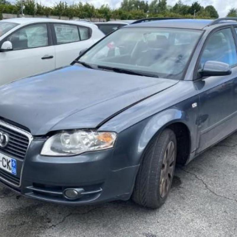 Porte avant gauche AUDI A4 2 Photo n°7