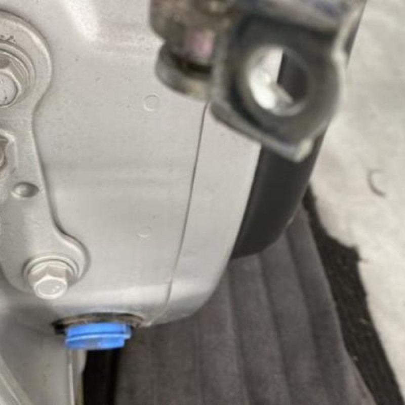 Porte arriere droit OPEL SIGNUM Photo n°6