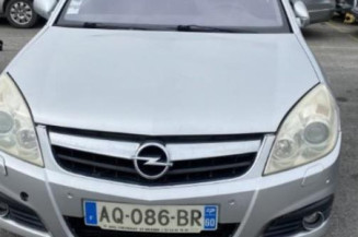Porte arriere droit OPEL SIGNUM
