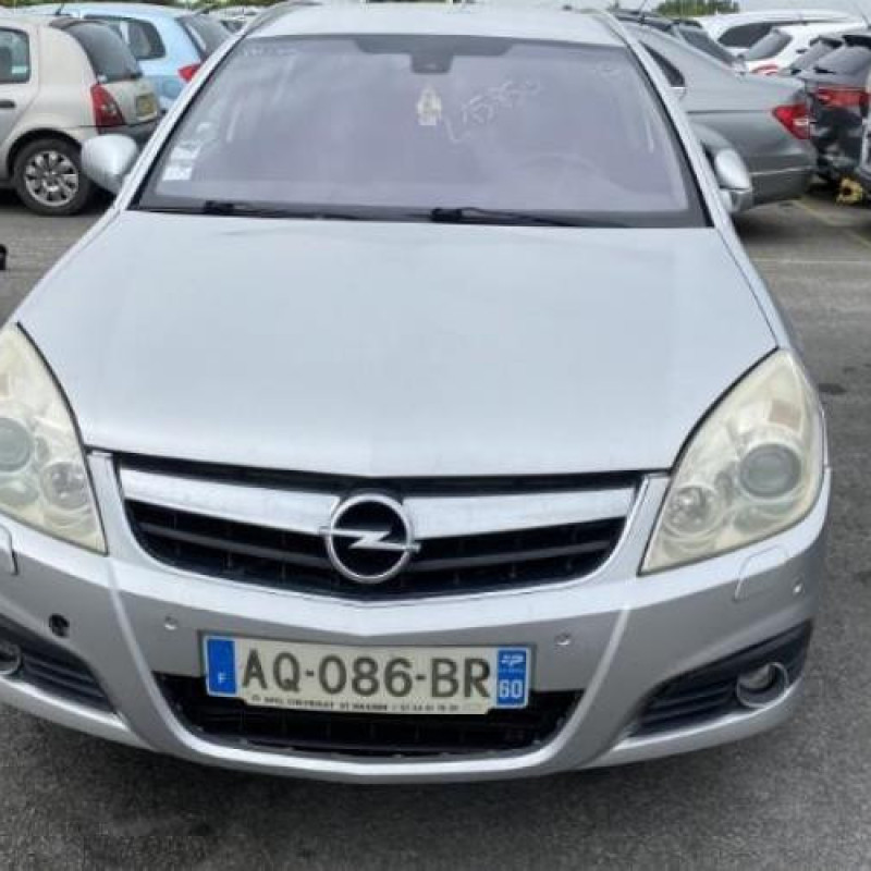 Porte arriere droit OPEL SIGNUM Photo n°8