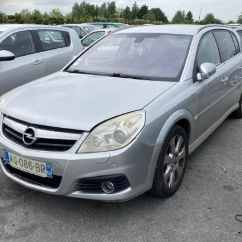 Porte arriere droit OPEL SIGNUM Photo n°9