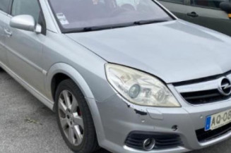 Porte arriere droit OPEL SIGNUM