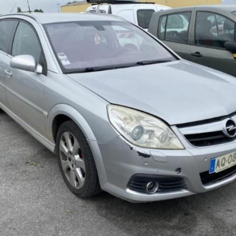 Porte arriere droit OPEL SIGNUM Photo n°10