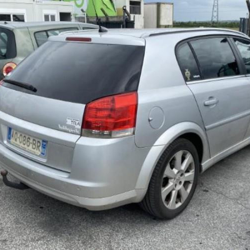 Porte arriere droit OPEL SIGNUM Photo n°11