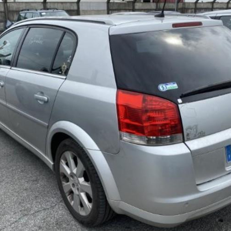Porte arriere droit OPEL SIGNUM Photo n°12