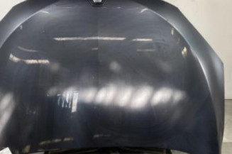 Capot RENAULT MEGANE 3 Photo n°1