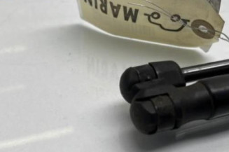 Verin de coffre DACIA SANDERO 1