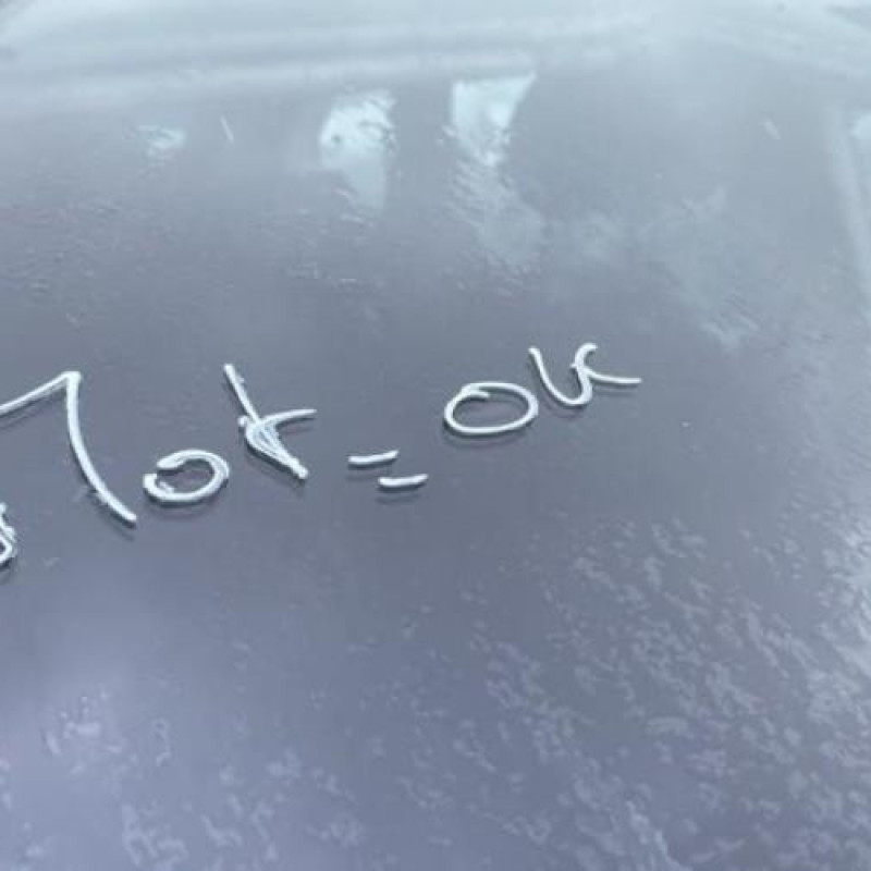 Jante CITROEN C4 PICASSO 1 Photo n°19