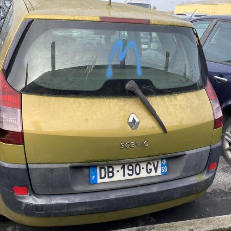 Serrure arriere gauche RENAULT SCENIC 2 Photo n°14