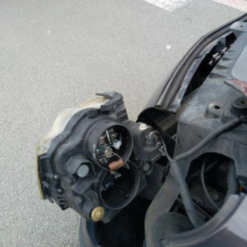 Amortisseur avant droit RENAULT MODUS Photo n°14