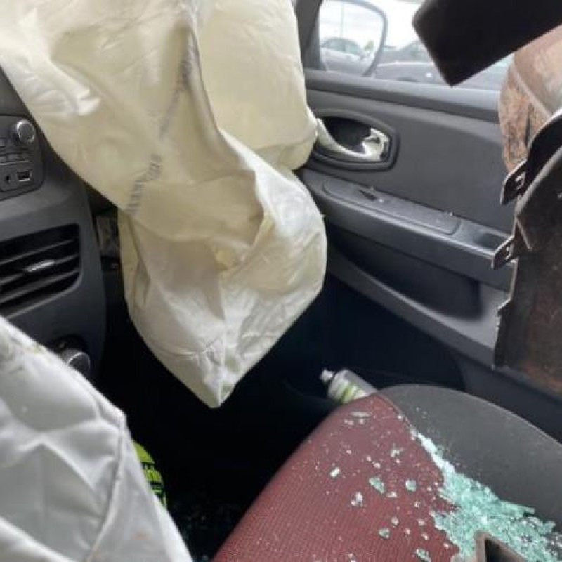 Baguette de porte avant gauche RENAULT CLIO 4 Photo n°18