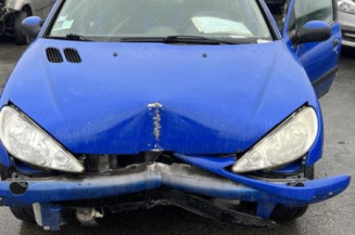 Porte arriere droit PEUGEOT 206