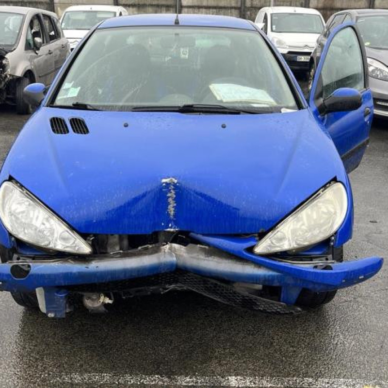 Porte arriere droit PEUGEOT 206 Photo n°7
