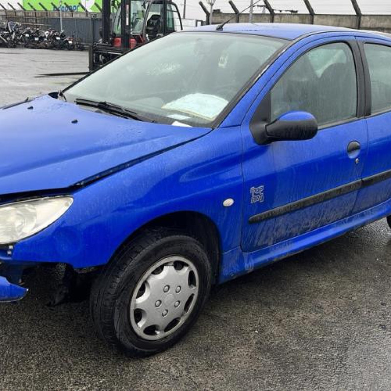 Porte arriere droit PEUGEOT 206 Photo n°9