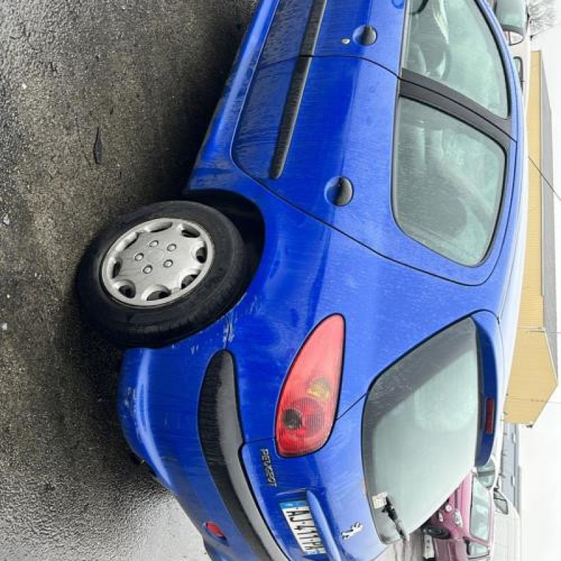 Porte arriere droit PEUGEOT 206 Photo n°10