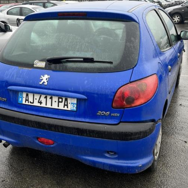 Porte arriere droit PEUGEOT 206 Photo n°12