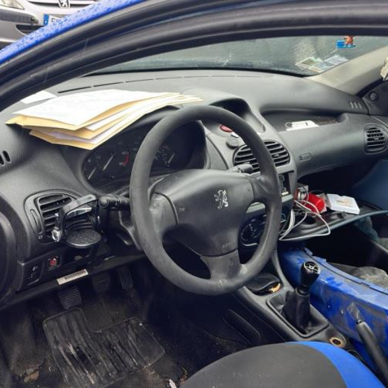 Porte arriere droit PEUGEOT 206 Photo n°13