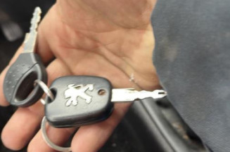 Porte arriere droit PEUGEOT 206