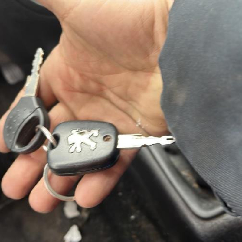 Porte arriere droit PEUGEOT 206 Photo n°16