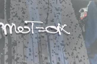 Porte arriere droit PEUGEOT 206