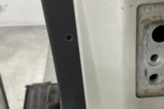 Porte arriere gauche PEUGEOT 207