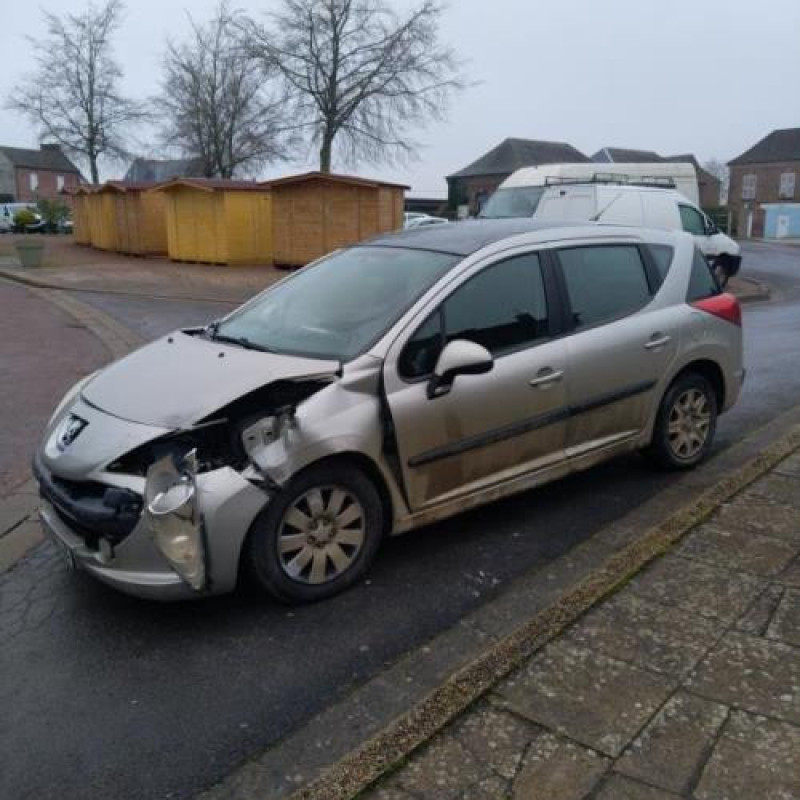 Porte arriere gauche PEUGEOT 207 Photo n°6