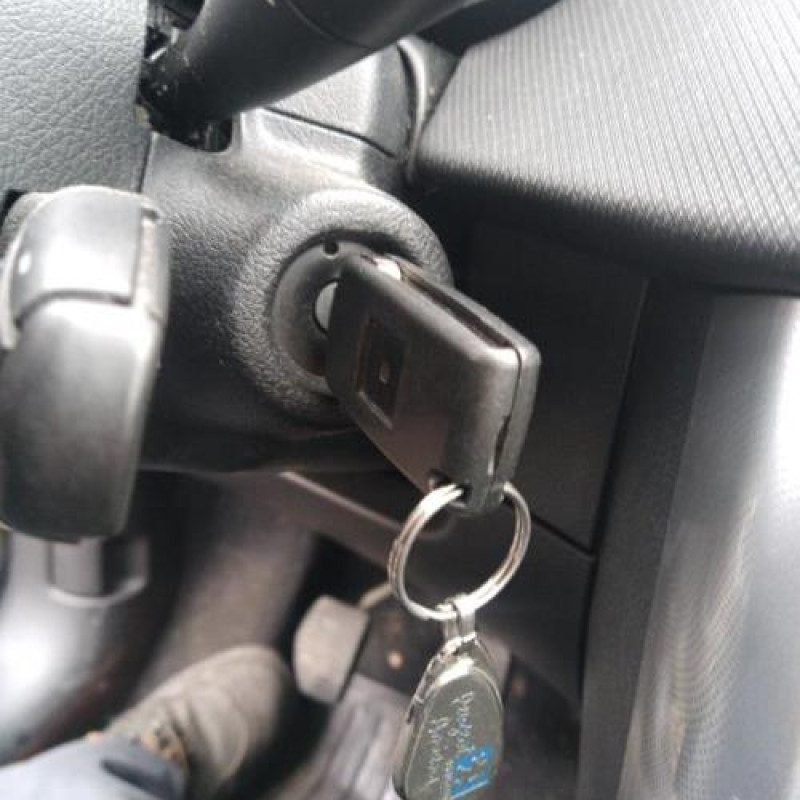 Porte arriere gauche PEUGEOT 207 Photo n°13
