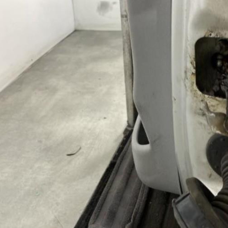Porte avant gauche CITROEN C3 1 Photo n°5