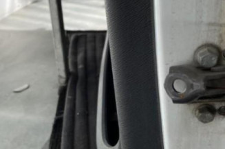 Porte avant gauche RENAULT TWINGO 2