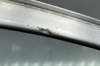 Porte avant gauche RENAULT TWINGO 2