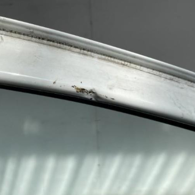 Porte avant gauche RENAULT TWINGO 2 Photo n°8