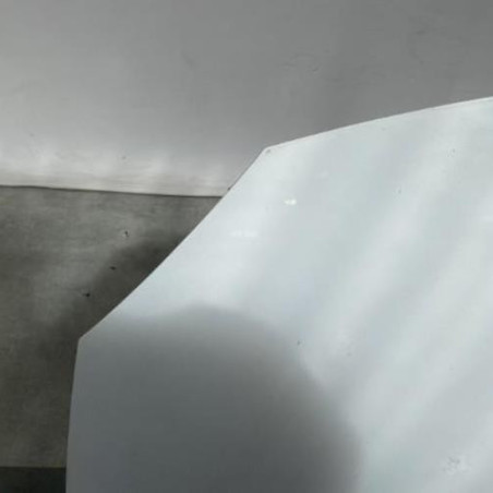 Capot RENAULT TWINGO 2