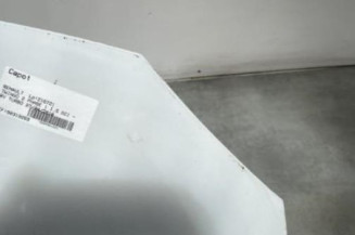 Capot RENAULT TWINGO 2