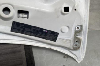 Capot RENAULT TWINGO 2