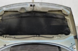 Capot CITROEN C3 1